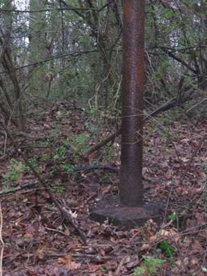 Camp Highland flagpole in 2009